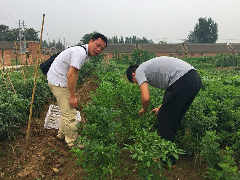 好利來郭總喊您來摘菜啦！綠色無公害，放心！
