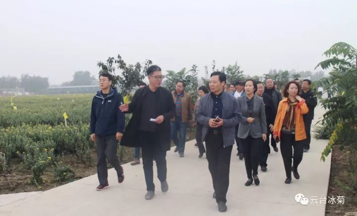 云臺冰菊基地發(fā)生了什么？一批批領導專家團隊前來！