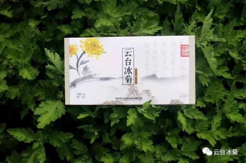存一夏炙熱，耀一秋豐收！